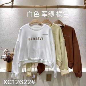 Loose-fitting design Minimalist Round Collar style Stitched sleeve style Casual Solid color cotton and linen oversized custom 12622 Sweatshirts